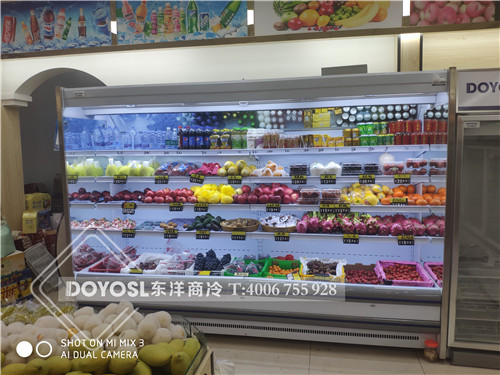 東莞市虎門鎮水果保鮮柜-飲料冷藏柜案例
